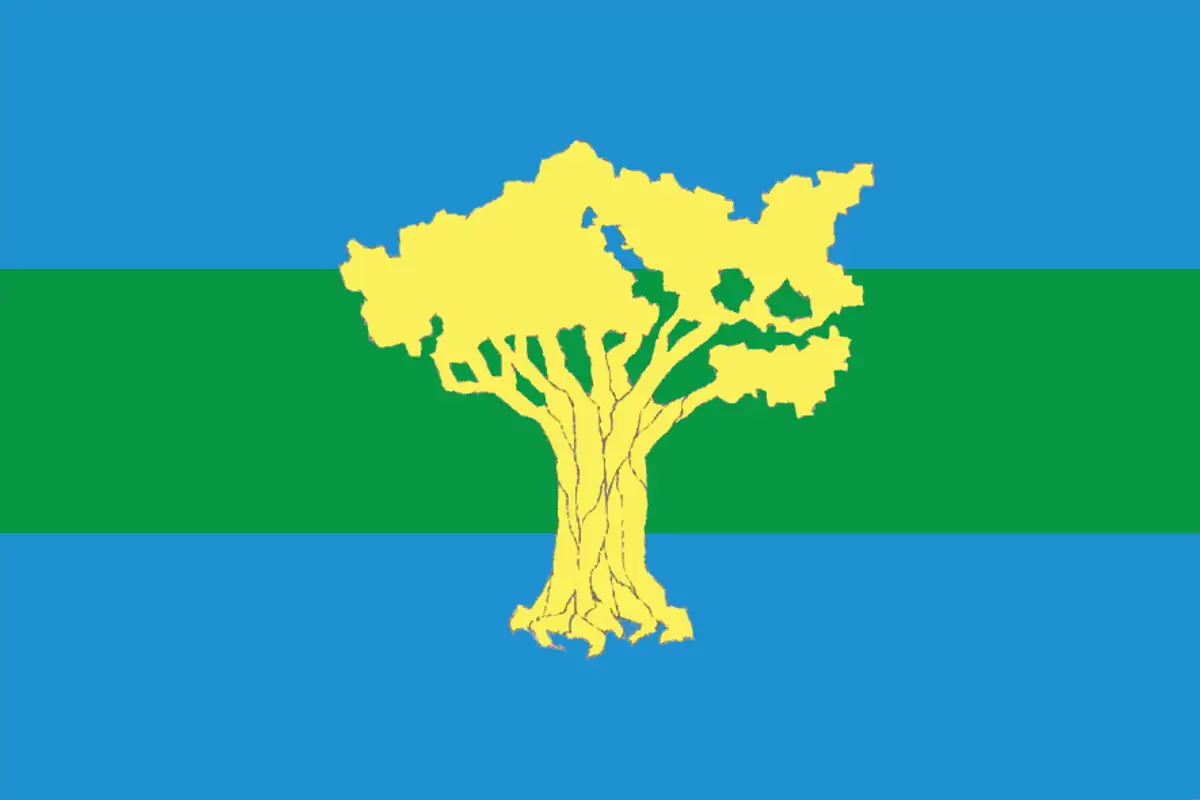 Флаг: Амурский район